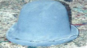 Mold#2852