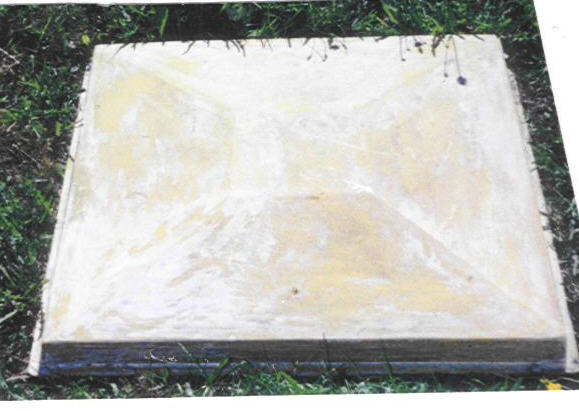 Mold#4663