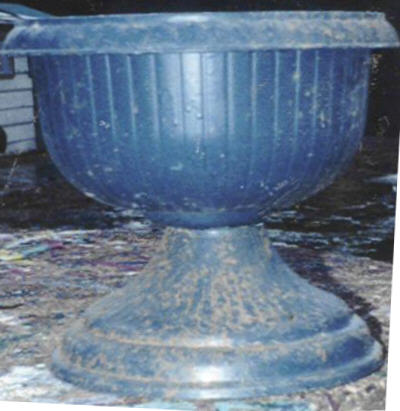 Mold#876